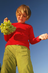 Similar image 1257614