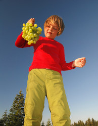 Similar image 1257615