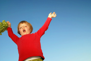 Similar image 1257616