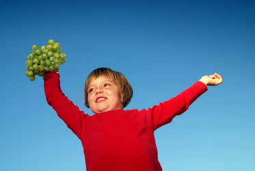 Similar image 1257619