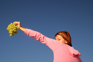 Similar image 1257632