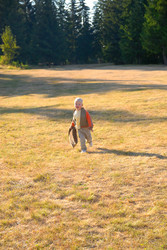 Similar image 1257641