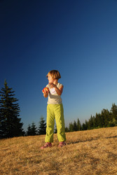 Similar image 1257674