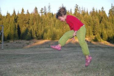 Similar image 1257721