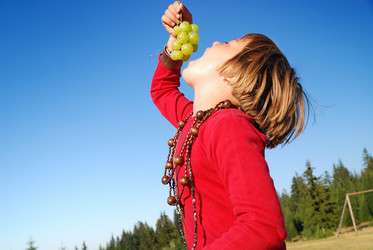 Similar image 1257733