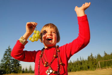 Similar image 1257744