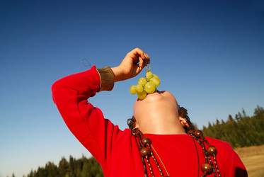 Similar image 1257750