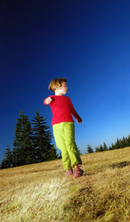 Similar image 1257796