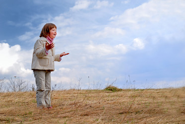 Similar image 1259242