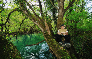 Similar image 1259432