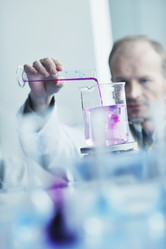 Similar image 1259855