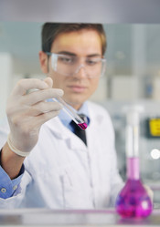 Similar image 1259886