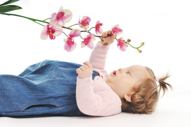 Similar image 1260471