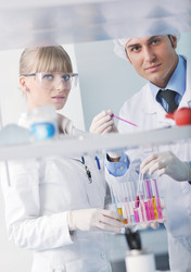 Similar image 1260529