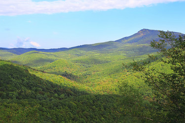 Similar image 1260947