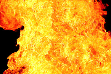 Similar image 1260952