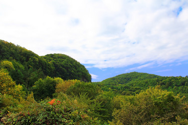 Similar image 1260960