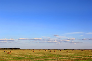 Similar image 1260976