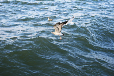 Similar image 1260995