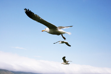 Similar image 1260996