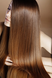 Similar image 1261032