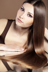 Similar image 1261034