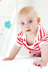 Similar image 1261040