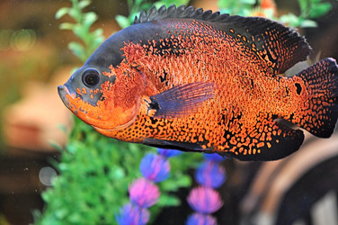 Similar image 1261094