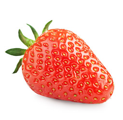 Similar image 1261198