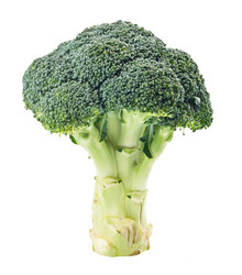 Similar image 1261199