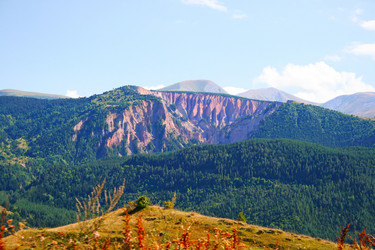 Similar image 1261207