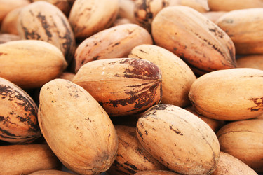 Similar image 1261211