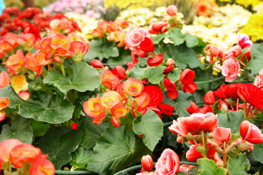 Similar image 1261221