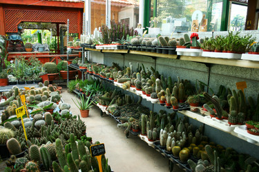 Similar image 1261233