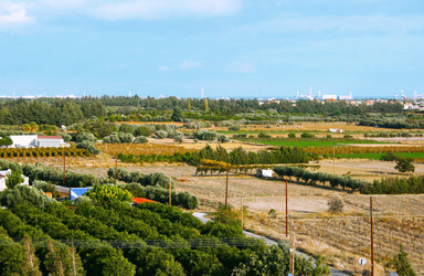 Similar image 1261234