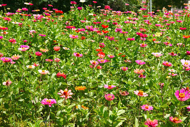 Similar image 1261245