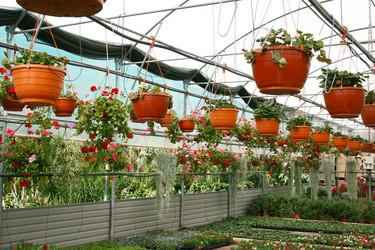 Similar image 1261248