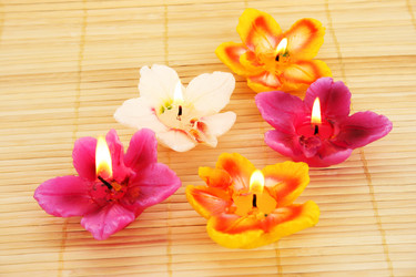 Similar image 1261263