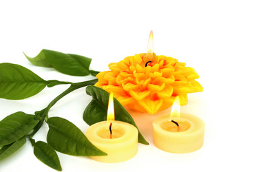 Similar image 1261264