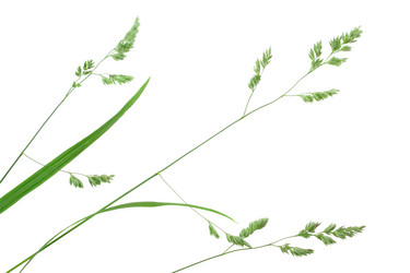 Similar image 1261374