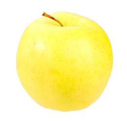 Similar image 1261379