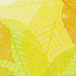 Similar image 1261408