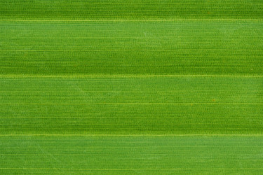 Similar image 1261443