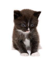 Similar image 1261447