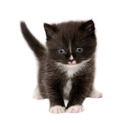 Similar image 1261448