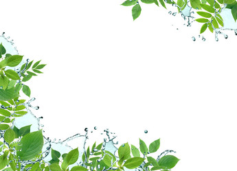 Similar image 1261450