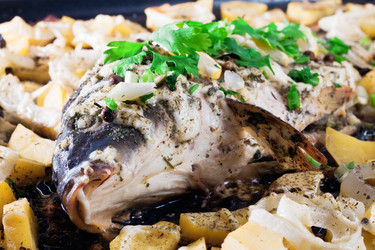 Similar image 1261500