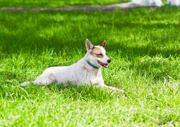 Similar image 1261502