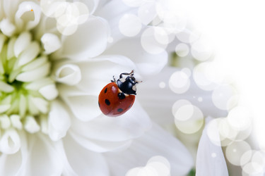 Similar image 1261526