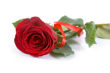 Similar image 1261532